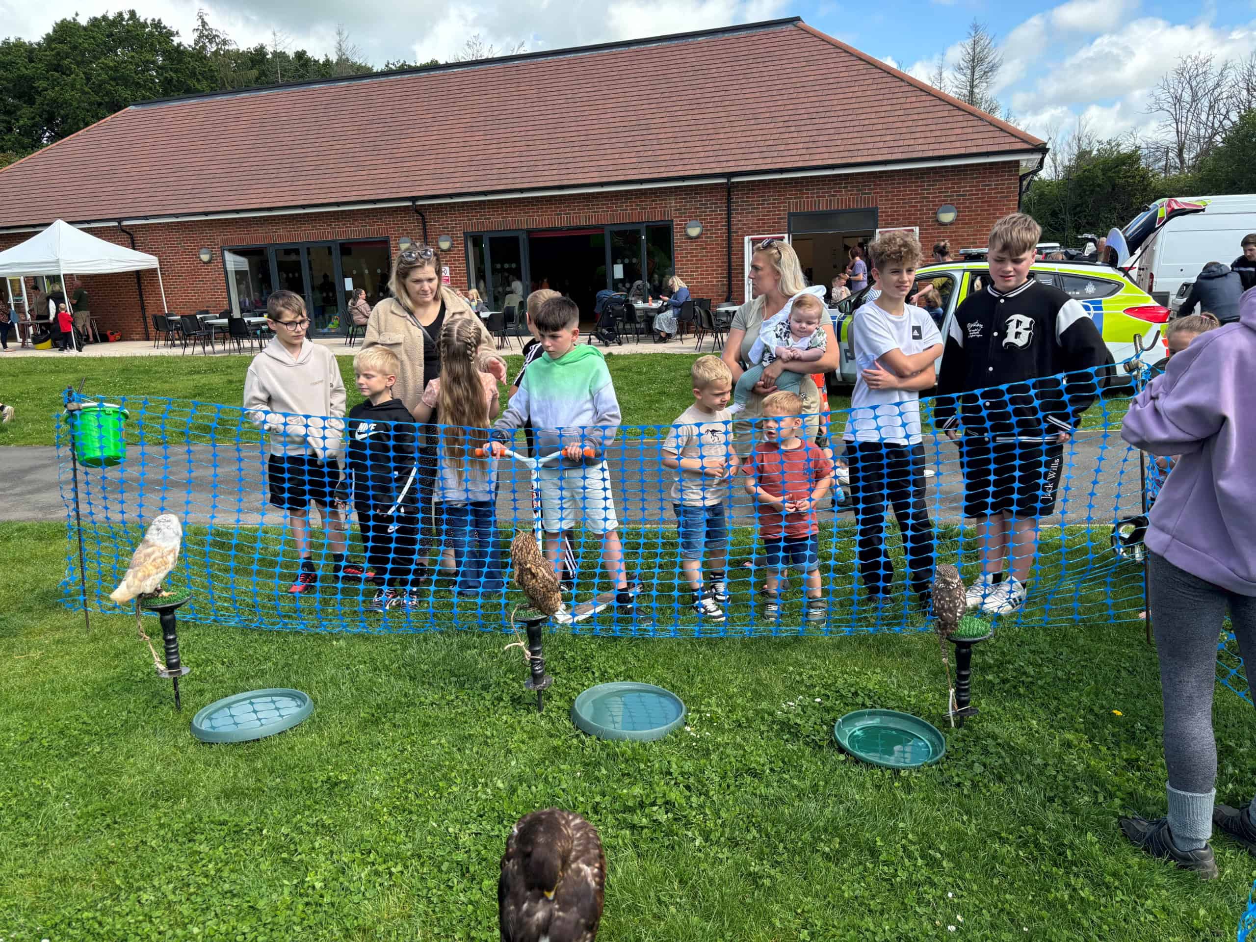 A group of children and adults stand behind a blue plastic barrier, observing several birds of prey on display outdoors. A brick building and people sitting at tables are visible in the background.